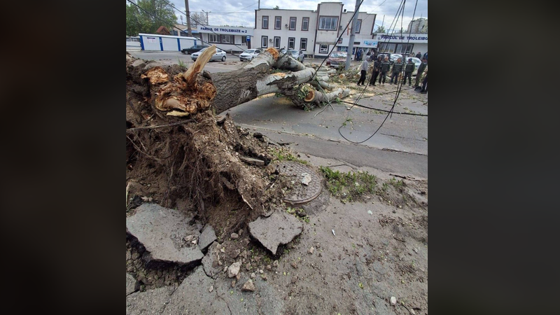 (video) Evenimentele în aer liber, anulate în capitală din cauza Codului Portocaliu de vânt. Ceban: Vă rugăm să rămâneți la adăpost