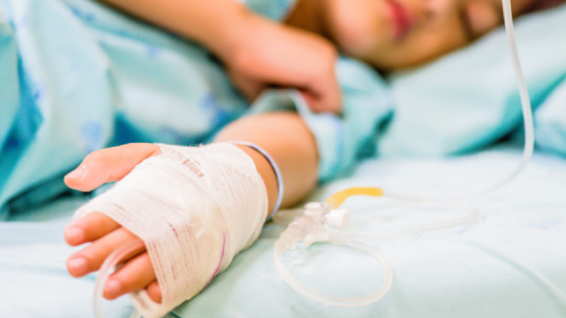 Copilul peste care a căzut o creangă la Grădina Zoologică a suferit traumatisme grave la nivelul capului: Ce spun medicii