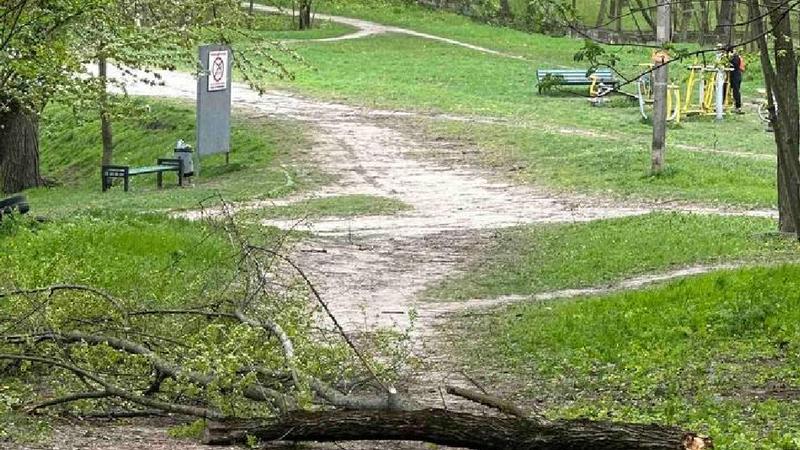 Incident fatal într-un parc din sectorul Rîșcani: Un bărbat a decedat, după ce un copac s-a prăbușit peste el