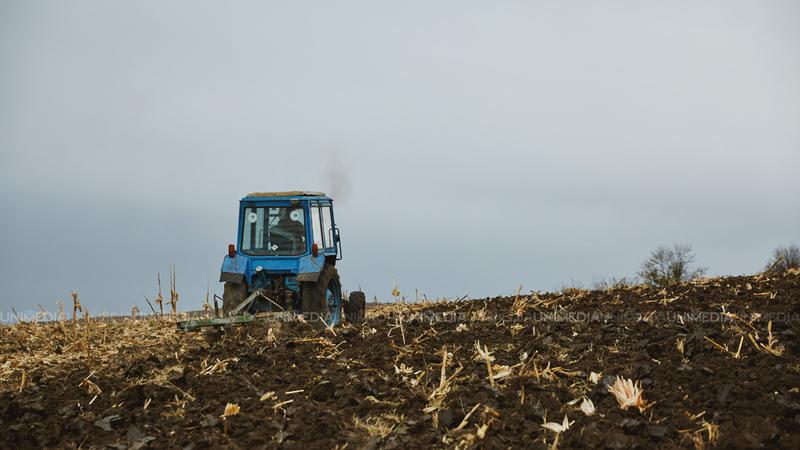 Agricultura, în colaps: Aproape 50.000 de locuri de muncă dispărute în 2025