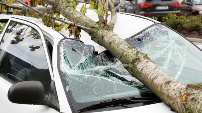 „Nu parcați pe trotuare și sub copaci”: Primăria capitalei, apel la prudență și responsabilitate în contextul alertei meteo