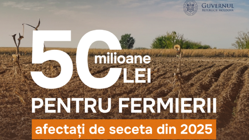 Guvernul a alocat 50 mil. lei pentru fermierii afectați de seceta din 2025: Cine poate beneficia de compensații și termenul limită pentru depunerea cererilor