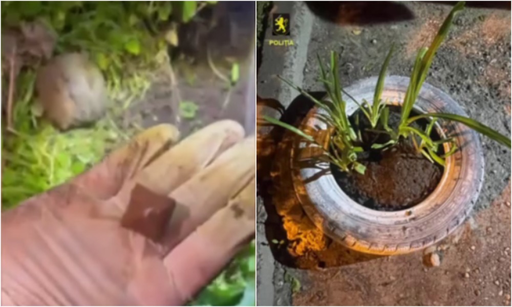 (video) Doi tineri din capitală, prinși cu mefedronă de 16 mii de lei: Unul a fost arestat pentru 30 de zile