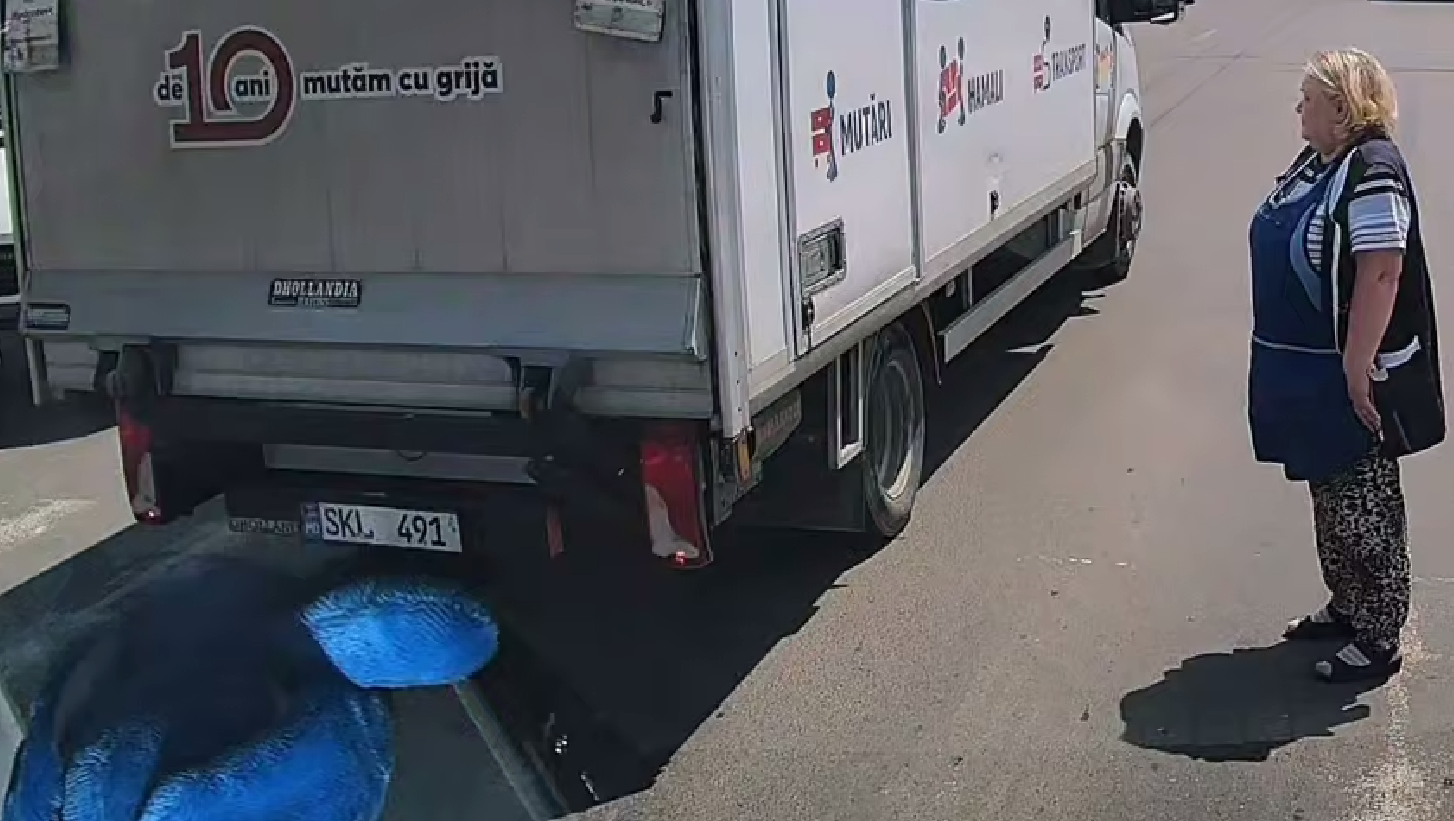 (video) Imagini care îți taie respirația: Cum un ș