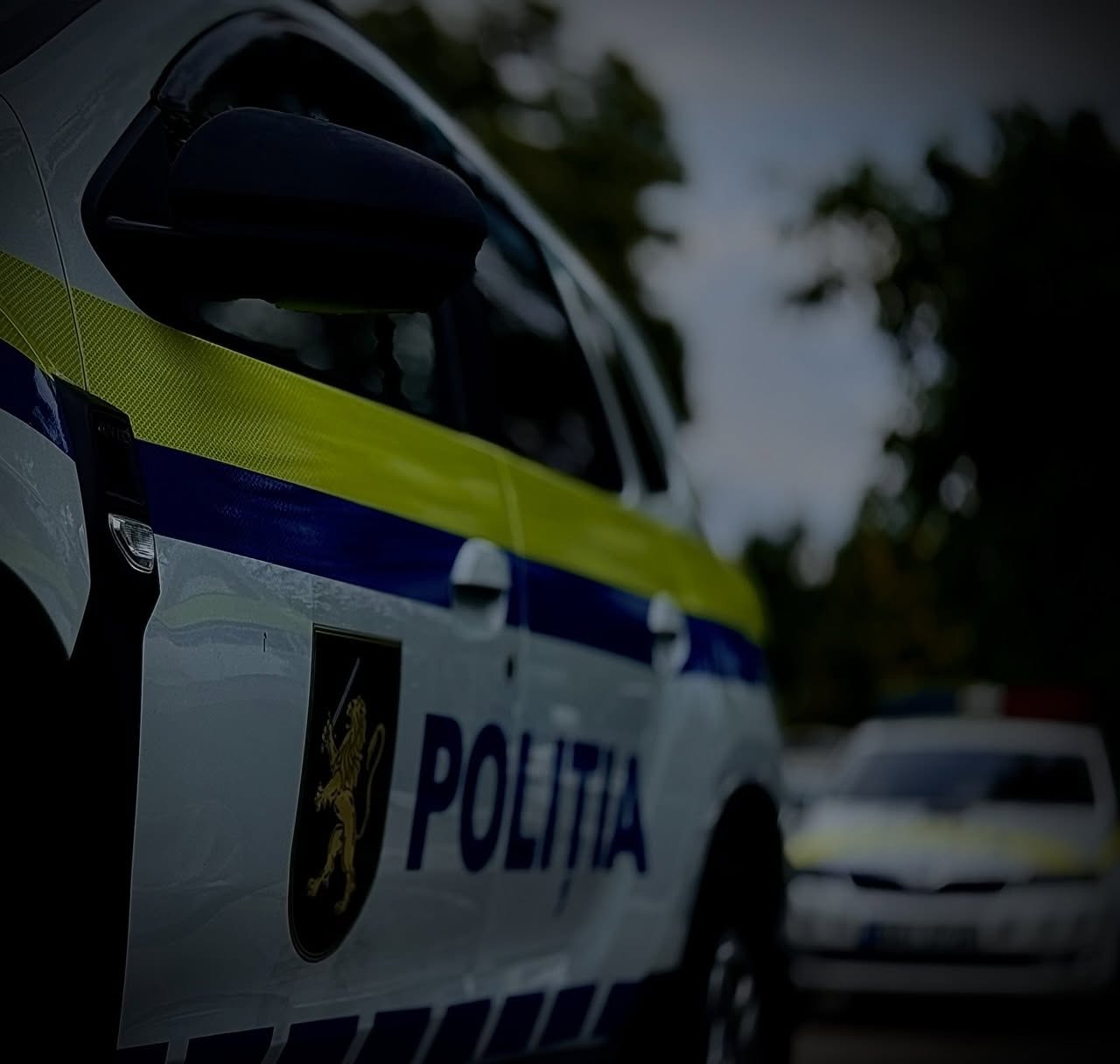 A lovit cu pumnul o polițistă, care a venit să-l escorteze l