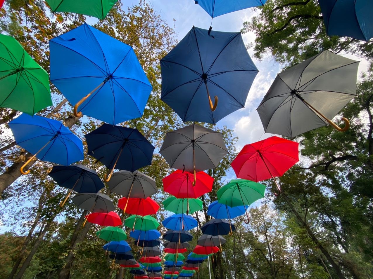 Поющие зонтики. Цветные зонтики. Разноцветный зонт. Зонты в парках. Парк с зонтиками.